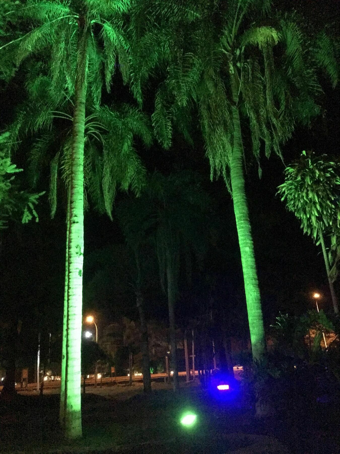 Tangoinn Club Iguazu Party Luxury Hostel 푸에르토이과수 외부 사진